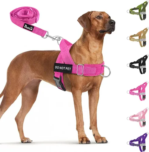 Miniatura 18 de SlowTon Arnés para perro sin tirones, juego de arnés y correa resistente para perros medianos y grandes, arnés táctico reflectante con acolchado