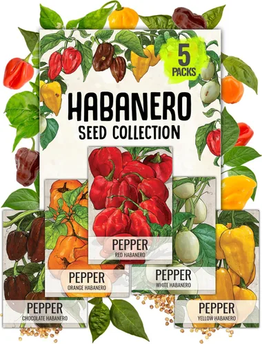 Seed Needs, Colección de paquetes de semillas de pimienta Habanero (5 variedades individuales de semillas para plantar) reliquia, sin OMG y sin