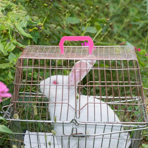 Miniatura 4 de Zerodeko 10 manijas de jaula para mascotas, accesorios de piezas de repuesto para jaulas para mascotas, fácil instalación, cómodo de sostener, mango