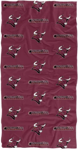 Miniatura 174 de LOGOVISION Abilene Christian University - Manta de 30 x 60 pulgadas, patrón de logotipo, CottonFront/PolyBackBeachTowel