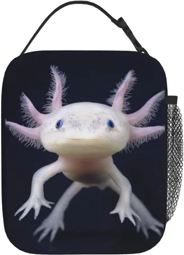 Miniatura 15 de YETTA YANG Fresco videojuego divertido portátil bolsa de almuerzo aislada caja de almuerzo reutilizable bolsas para mujeres hombres trabajo picnic