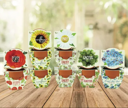 Miniatura 8 de BUZZY Seeds Daydream - Mini macetas de terracota con paquetes de semillas de margarita, juego de iniciación todo en uno con instrucciones medianas