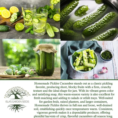 Miniatura 6 de Semillas de pepino "encurtidos caseros" para plantar, más de 50 semillas de reliquia por paquete, semillas de jardín de Isla