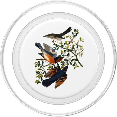 Miniatura 2 de PopSockets MagSafe PopGrip para iPhone de Mountain Mockingbird Varied Thrush Bird
