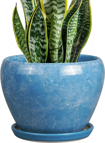 Miniatura 20 de Maceta de Cerámica Moderna con Esmalte para Suculentas con Agujero de Drenaje y Platillo, Maceta Redonda de 6 Pulgadas para Plantas de Flores