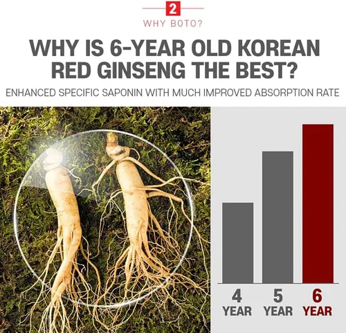 Miniatura 4 de BOTO 6 Year Korean Red Ginseng Extract Pure Stick Gold Korean Herbal Drink Stick 30 Sachets.