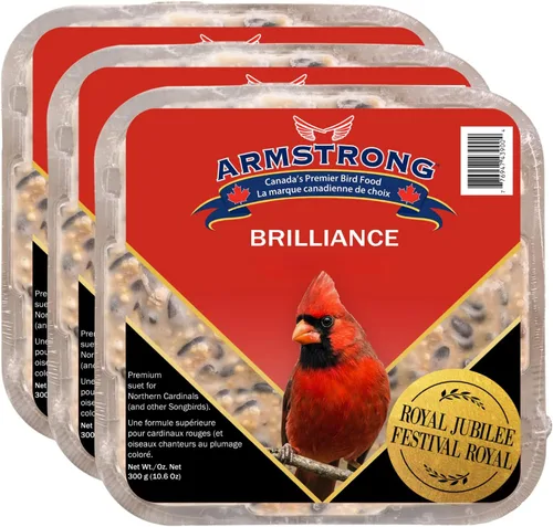 Armstrong Bird Food Royal Jubilee Brilliance - Pastel de sebo de 10.6 onzas (paquete de 3), con girasol de aceite negro, cártamo, pasas, cerezas y