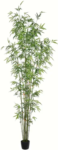 Miniatura 5 de Vickerman Mini árbol de bambú artificial en maceta de 5 pies.