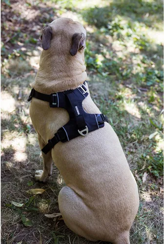 Miniatura 3 de Arnés para perro sin tirones con asa, fácil de caminar, 2 clips para correa, 3 hebillas sin estrangulamiento, acolchado suave para perros pequeños