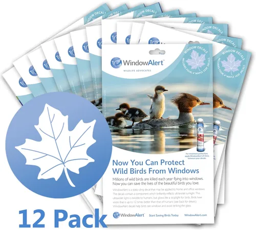 Miniatura 28 de WindowAlert Cobertura Anticolisión de Copo de Nieve - Adhesivo de Ventana UV-Reflectante para Proteger a las Aves Silvestres de Colisiones contra