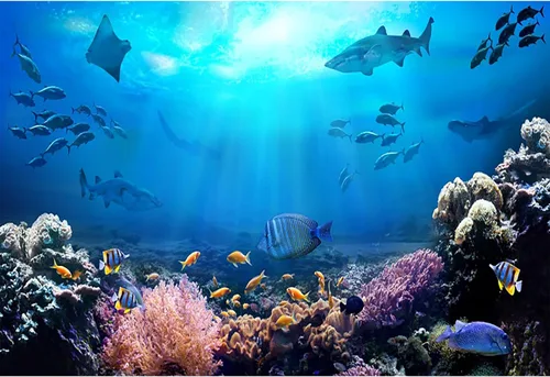 AOFOTO Telón de fondo submarino de 5 x 3 pies para fotografía, acuario, fondos marinos, rocas, luces, coral y peces, escena tropical del océano bajo
