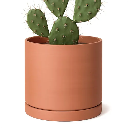 Miniatura 15 de D'vine Dev Maceta de Terracota Extra Pequeña de 4 Pulgadas con Orificio de Drenaje y Platillo, Maceta Cilíndrica Redonda para Plantas
