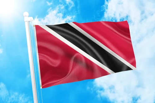 Miniatura 207 de DMSE Bandera de Sierra Leona 3X5 Pies 100% Poliéster Bandera 100D 47-91 x 152 cm