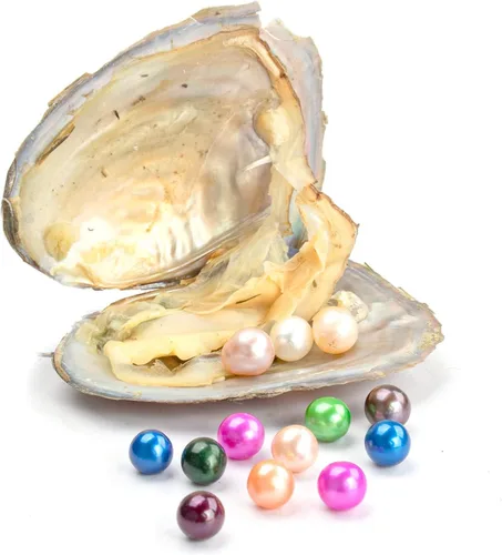 Miniatura 4 de 50 perlas de agua dulce cultivadas con diseño de ostras redondas de deseo, varios colores brillantes y significativos, ostras con perlas