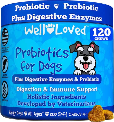 Well Loved Probióticos para perros, probióticos para perros, fabricados en Estados Unidos, desarrollados por veterinarios para la salud intestinal,