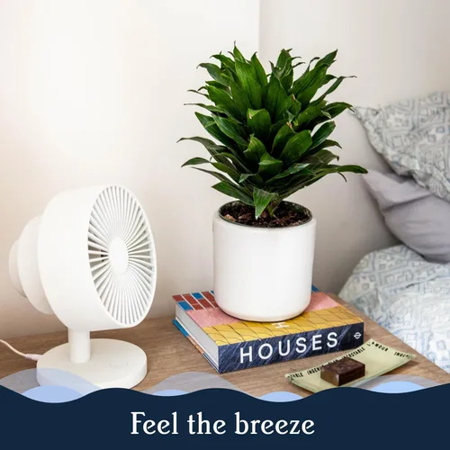 Miniatura 7 de Windmill Ventilador inteligente - Circulador de aire 2 en 1 ultra silencioso con control remoto - Ventilador de refrigeración compacto de 5 Blanco
