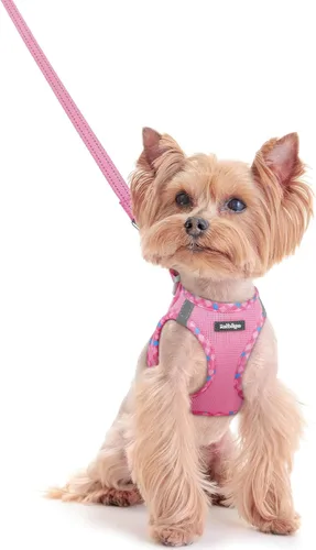 Miniatura 86 de rabbitgoo Juego de arnés para perro de tamaño pequeño y correa, chaleco ligero suave para cachorro, arnés de malla transpirable para mascotas