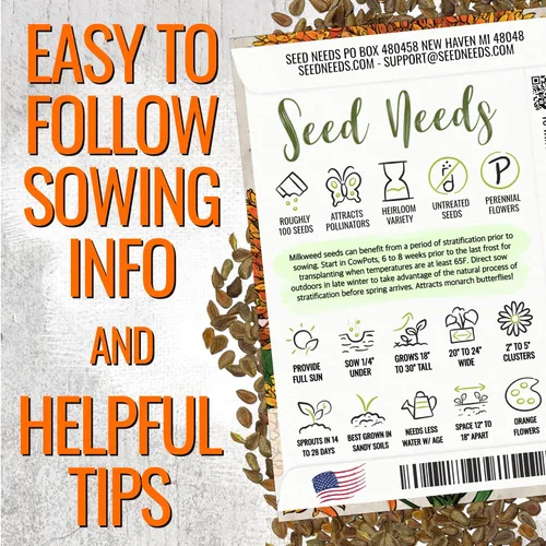 Miniatura 4 de Seed Needs Semillas de algodoncillo naranja para plantar malezas de mariposa, semillas de flores perennes sin tratar para cultivar un jardín