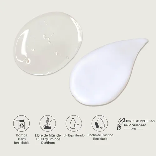 Miniatura 7 de Renpure Juego de champú y acondicionador de árbol de té y romero, a base de plantas, refresca y reequilibra el cabello y el cuero cabelludo