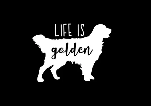 Liphontcta MKR1615 - Calcomanía de vinilo con texto en inglés «Life is Golden Dog Retriever» MKR, para autos, camiones, camionetas, paredes, laptop,