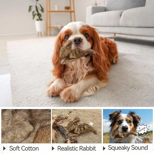 Miniatura 5 de ALL FOR PAWS Juguetes Chirriantes para Perros, Juguetes de Animales de Peluche para Perros, Juguete de Peluche para Perros Pequeños, Medianos