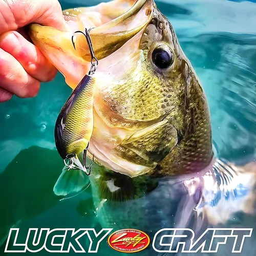 Miniatura 6 de LUCKY CRAFT LC 1.5 Silent Squarebill Crankbait Fishing Lure, 2-3/8", Bass Fishing Lures for Freshwater, Hard Crankbait with Treble Fishing Hooks