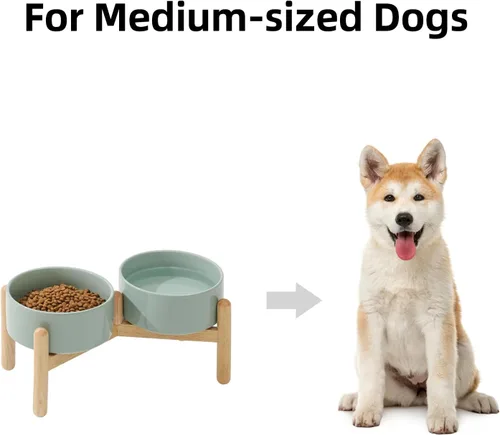 Miniatura 4 de Havniva Cuenco elevado de cerámica de 6.1 pulgadas para perros con soporte para platos de perros de razas pequeñas y medianas, cuenco de comida y 2