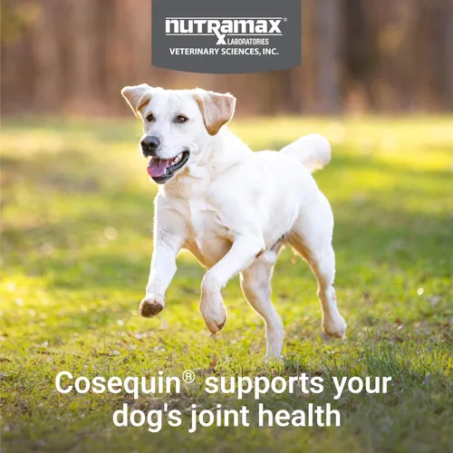Miniatura 4 de Nutramax Cosequin - Suplemento para la salud de las articulaciones para perros, contiene glucosamina para perros, además de condroitina y MSM, apoya