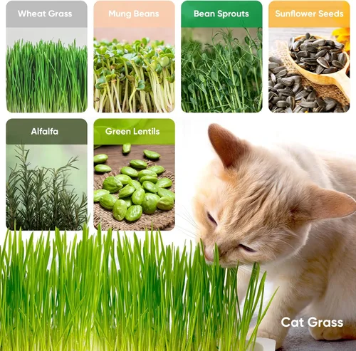 Miniatura 6 de Paquete de 6 bandejas de germinación de semillas verdes con tapa, bandeja de germinación de cultivo sin tierra, bandeja de vivero con papel