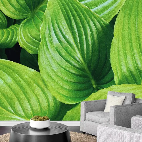 Miniatura 37 de wall26 serie Wall Mural Papel de empapelar autoadhesivo, grande., WMR-WP-X-D986-66x24x4