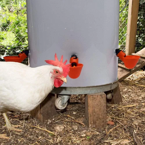 Miniatura 4 de DoubleWood Máquina Automática Completa para Beber de Aves de Corral, Taza de Agua para Pollos, Tazas de Agua para Beber/Máquina de Beber para Aves