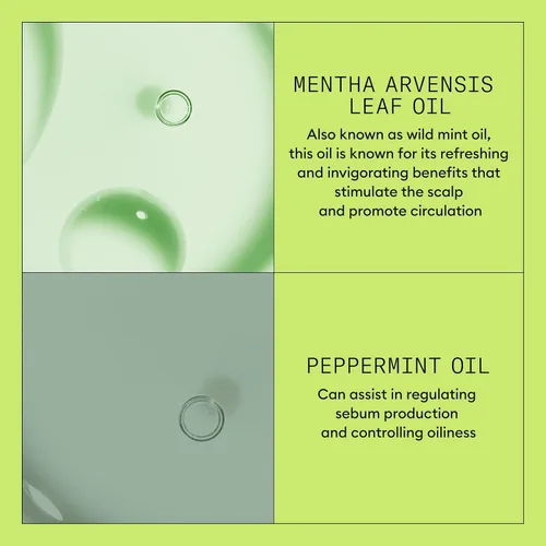 Miniatura 7 de Nioxin System 2 - Acondicionador de cuero cabelludo + engrosamiento del cabello para cabello natural con adelgazamiento progresado Aumenta