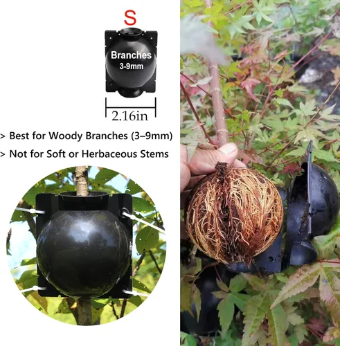 Miniatura 3 de Caja de cultivo de raíces de árbol: cápsulas de propagación de capas de aire para plantas leñosas, dispositivo de enraizamiento transparente
