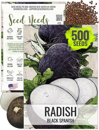 Seed Needs Semillas de rábano para plantar rábanos españoles negros, sin OMG, reliquia y sin tratar, cultiva un huerto cultivado en casa, cultivos