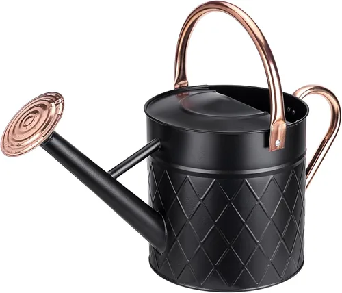 Regadera de metal para exterior de 1,75 galones para plantas de jardín, regadera vintage de zinc con boquilla de pulverización extraíble, ideal para
