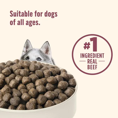 Miniatura 6 de Rachael Ray Nutrish – PEAK alimento seco para perros, rico en nutrientes, sin granos