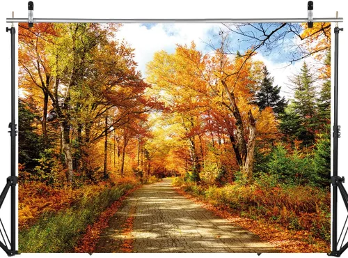 Miniatura 7 de Telón de fondo de fotografía de otoño, hojas caídas, paisaje natural real, fondo de fotografía para decoración de fiestas, pancartas de baby shower