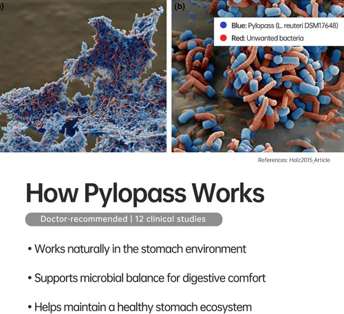 Miniatura 5 de purmeo MagenVital Pylopass H. Pylori Suplemento probiótico - 1 por día - Gastritis, reflujo ácido, acidez estomacal, reparación del revestimiento
