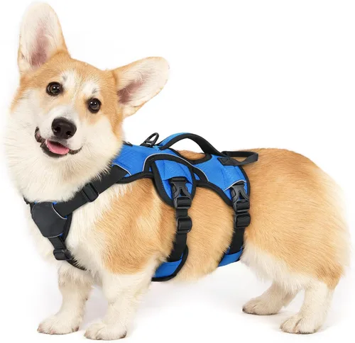 Miniatura 43 de rabbitgoo - Arnés para perro a prueba de fugas, arnés para mascotas acolchado suave de cuerpo completo, chaleco reflectante ajustable sin tirones