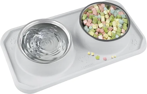 Cuencos para gatos para alimentos y agua, cuencos dobles premium removibles de acero inoxidable con fondo antideslizante y soporte elevado para