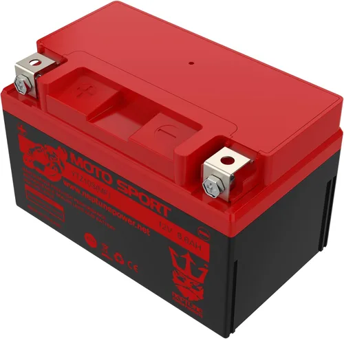Miniatura 4 de Neptune YTZ10S - Batería de repuesto para Yamaha FZ-07 2015, Honda CBR1000RR 2006, Honda CBR1000RR 2007, Yamaha FJ-09 2015