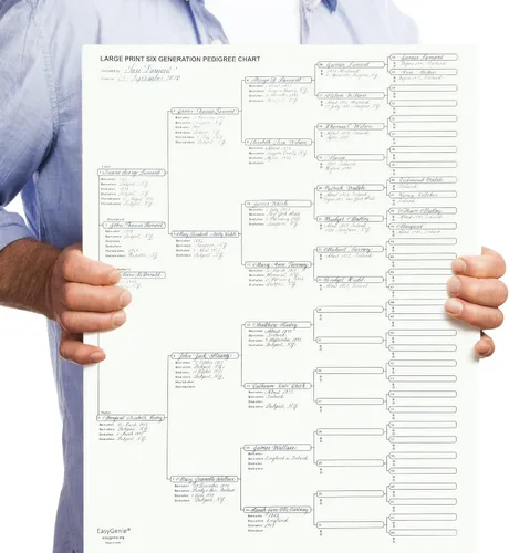 Miniatura 7 de EASYGENIE 10 GRANDE PRINT Gráficos de Pedigrí de seis generaciones para ascendencia Formularios de genealogía de calidad de archivo