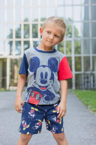 Miniatura 2 de Disney Mickey Mouse Lion King Pixar Cars Pixar Toy Story - Conjunto de camiseta y pantalones cortos de felpa francesa para niños pequeños y grandes