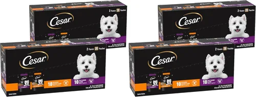 Miniatura 11 de Cesar Filets en Salsa Comida Húmeda para Perros Sabor Pollo Asado, Sabor Filete Mignon y Pollo a la Parrilla Variedades, Comida Húmeda para Perros