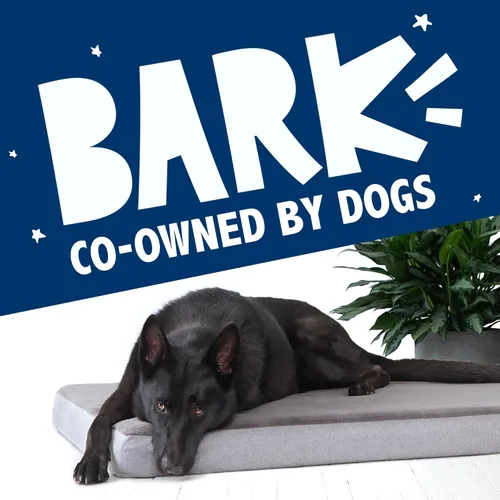 Miniatura 7 de Barkbox Cama ortopédica para perros con espuma viscoelástica, comodidad premium para perros y cachorros, cama para perros para alivio de las Gris