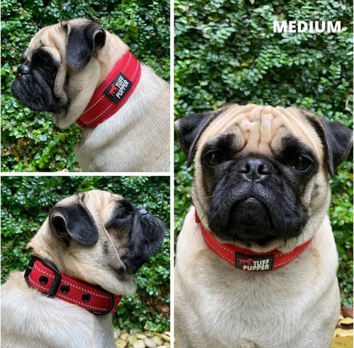 Miniatura 3 de Tuff Pupper Collar de perro acolchado ultra cómodo Acolchado grueso de neopreno Collar de perro con correa de nailon balístico con costuras