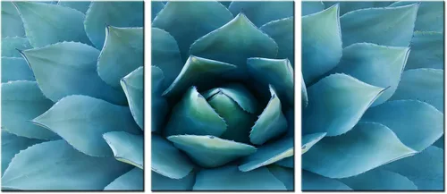Biuteawal - Lienzo moderno para pared, pintura de agave azul, pintura de plantas, decoración de pared, turquesa y verde azulado, impresión artística