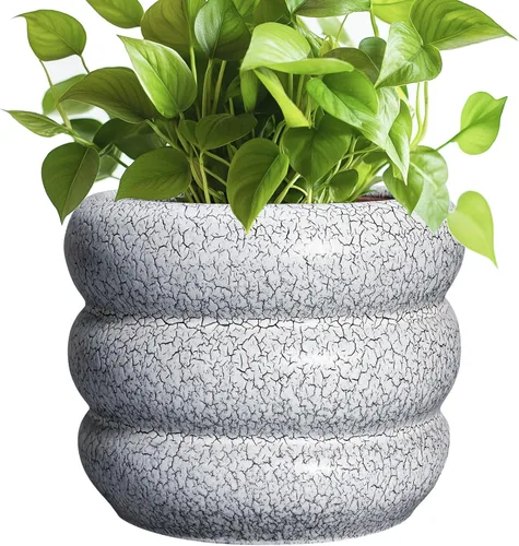 Miniatura 11 de Maceta de cerámica SQOWL para plantas de 8 pulgadas - Maceta de interior con orificio de drenaje para plantas de exterior, maceta floral moderna