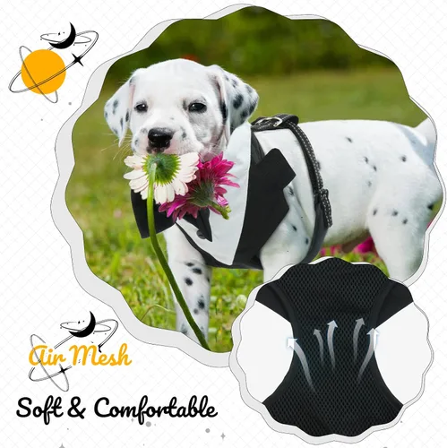 Miniatura 6 de Arnés de esmoquin para perro, arnés de esmoquin para perro sin tirones con correa, disfraz de traje de boda ajustable con pajarita para perros