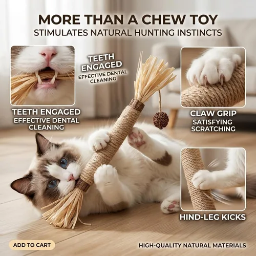 Miniatura 2 de Juguetes para gatos, 6 piezas de juguetes para gatos de interior, juguete de hierba gatera para masticar Silvervine Stick para limpiar dientes